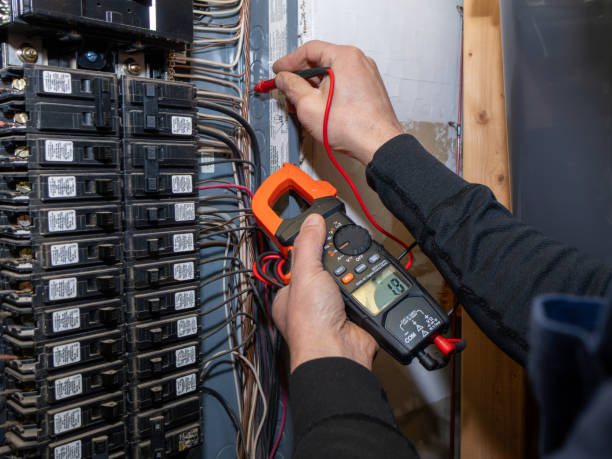 Best Electric Panel Repair  in Orida Ridge, FL